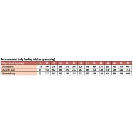 Gemon All Breeds Adult Salmon And Rice 15Kg Petshop88 2 800X800W