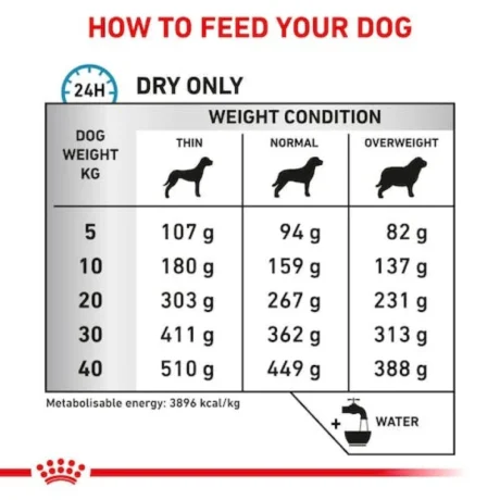 Royal Canin Skin Care Adult Dog 2Kg Petshop88 2 800X800 1
